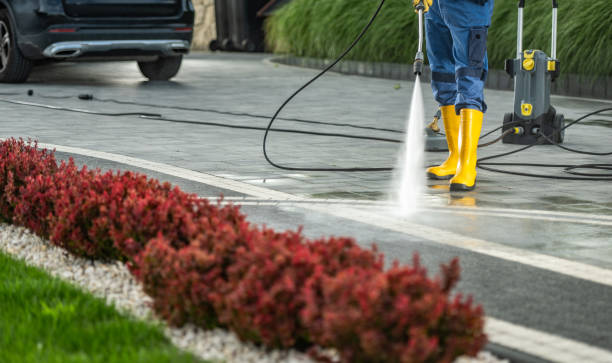 Best Roof Power Washing Services  in St Peter, MN