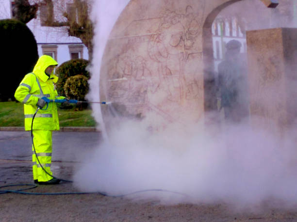 Best Affordable Power Washing  in St Peter, MN
