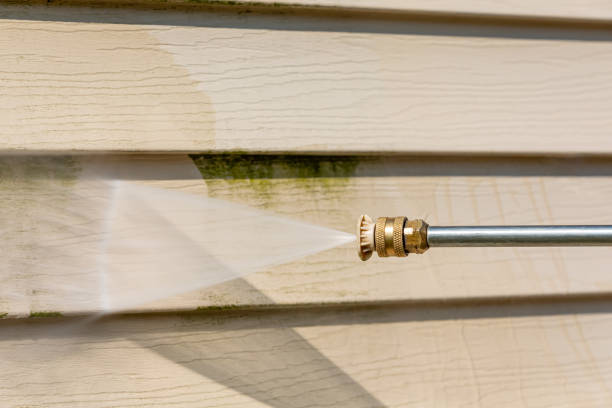 Best Exterior Home Cleaning  in St Peter, MN