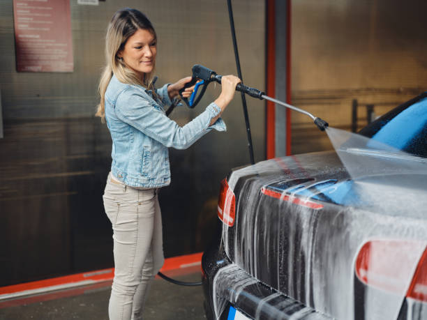Best House Pressure Washing  in St Peter, MN